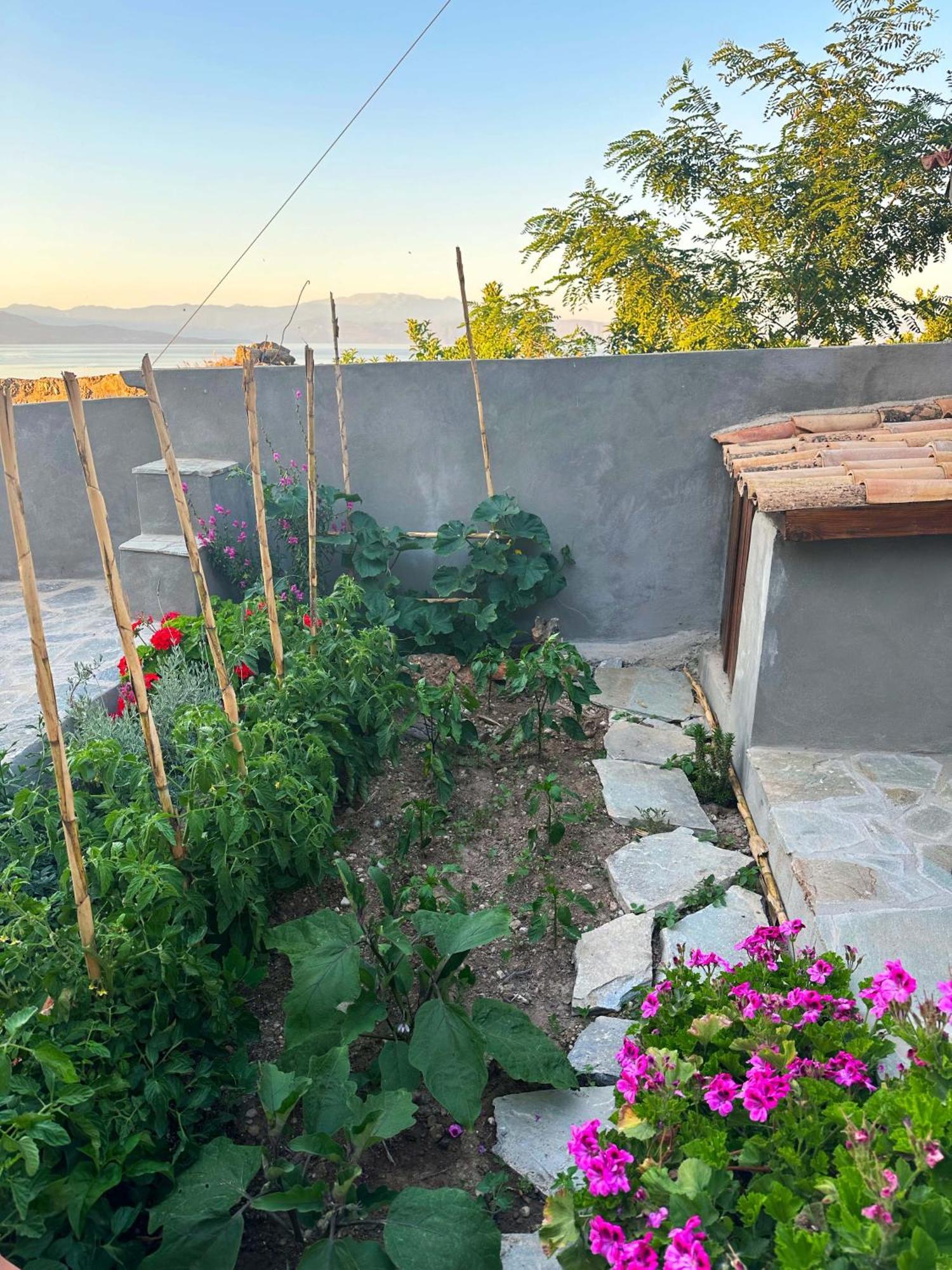 Appartement Fteri Stone House In Platanos, Akrata Extérieur photo